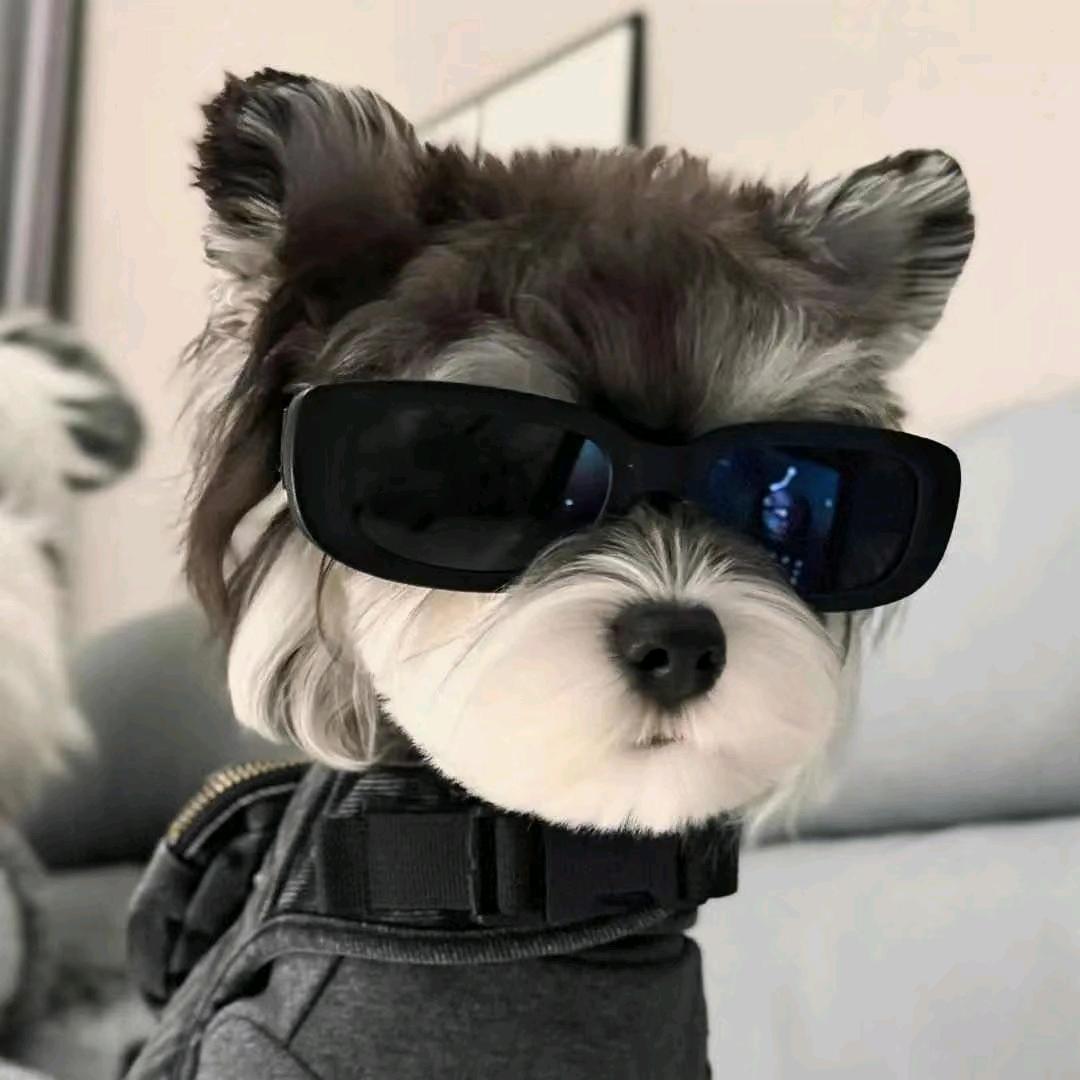 可乐加冰