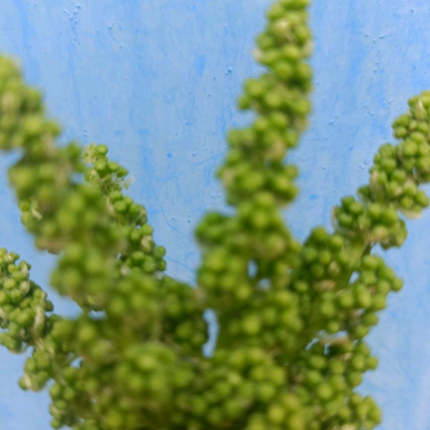 拒绝╭(╯♥╰)╮共享