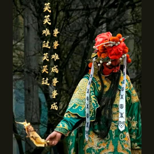 站在墙上看红杏