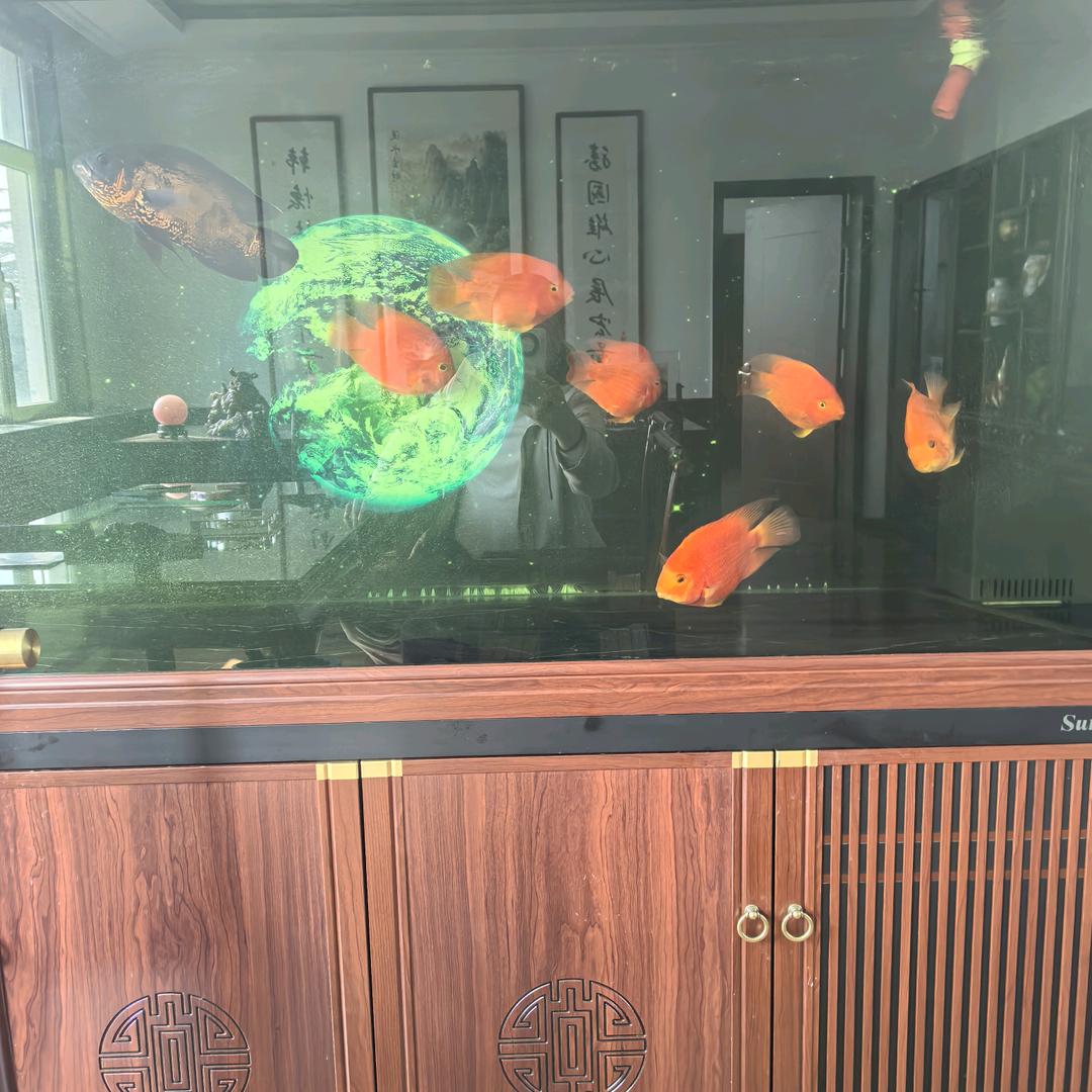 六六