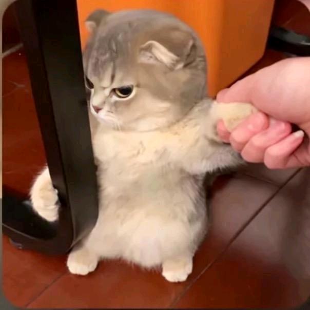 吃夜宵