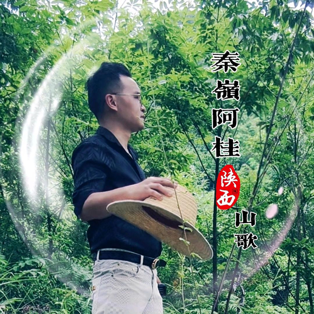 秦岭阿桂