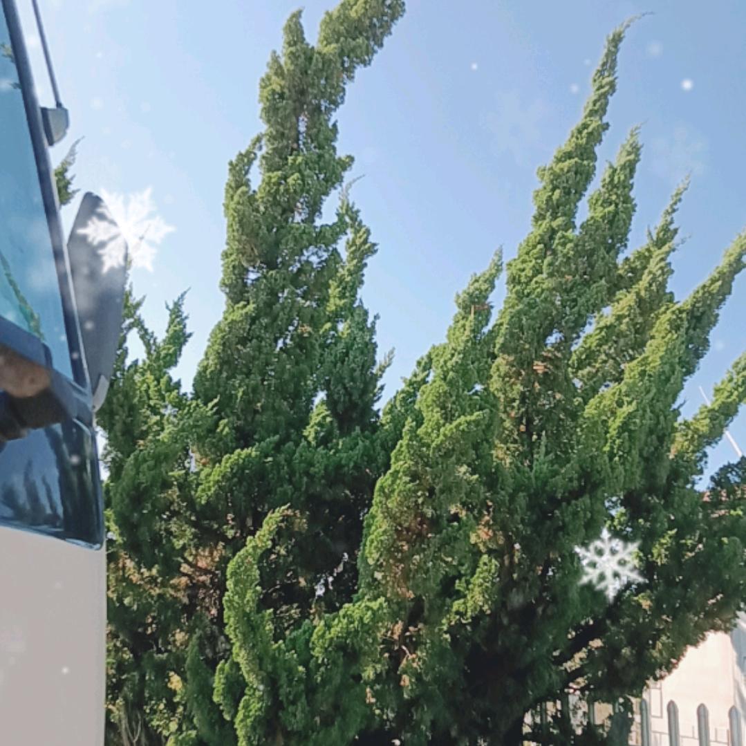 抖逗乐
