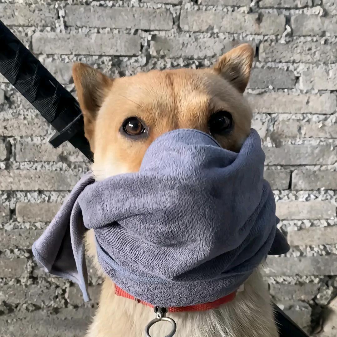 AKA西工厂之王
