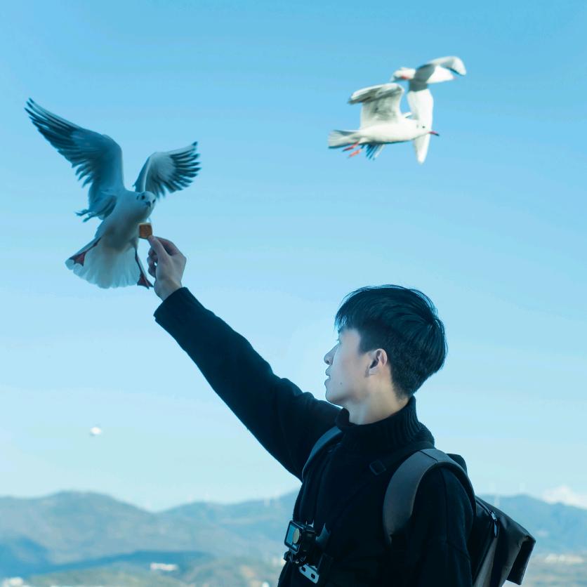 好运天天来