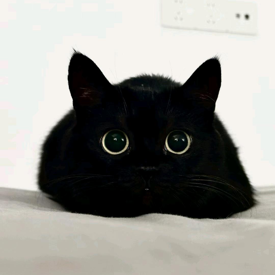 (●_●)