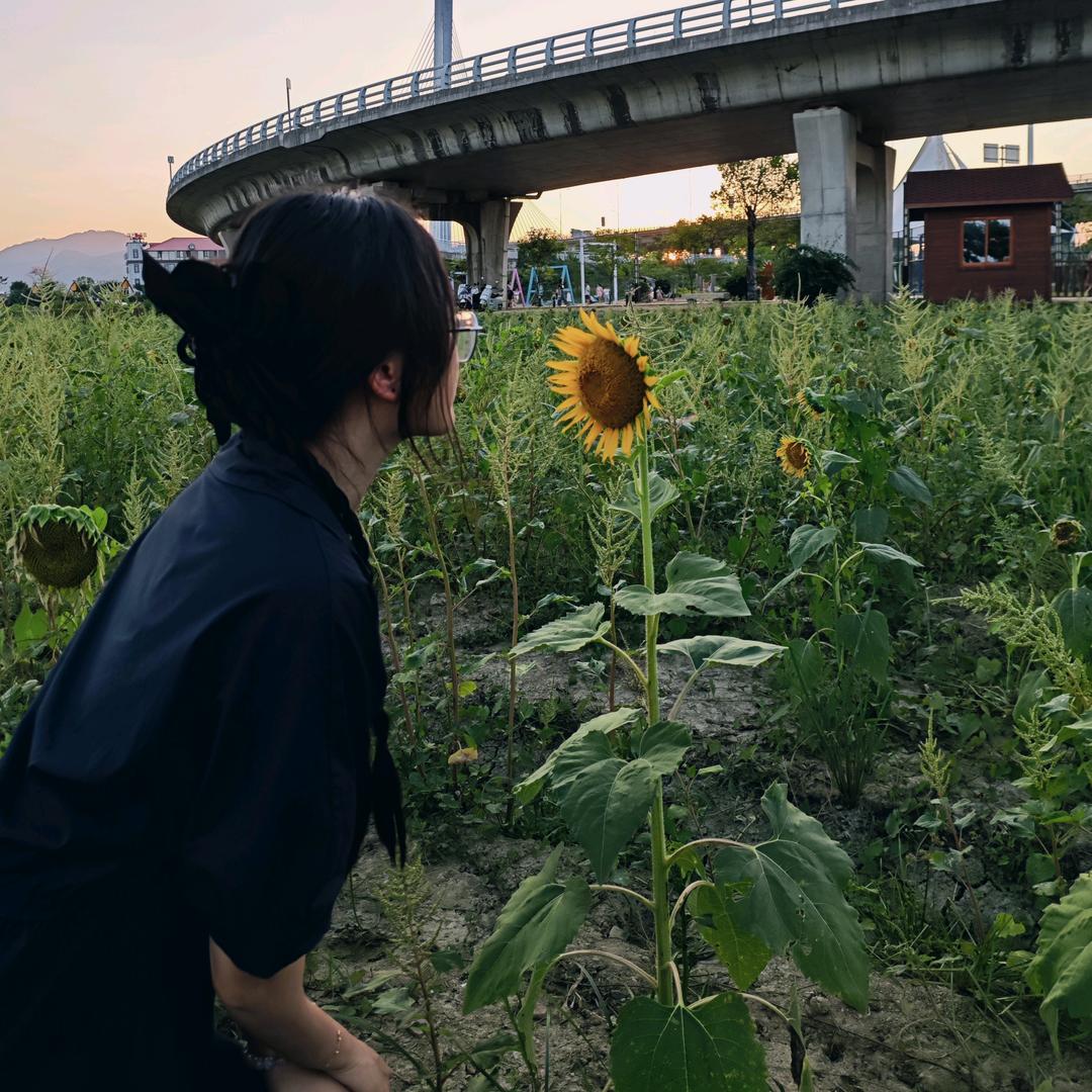 禾包包子🌾