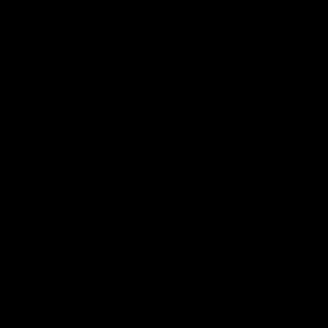 查无此人