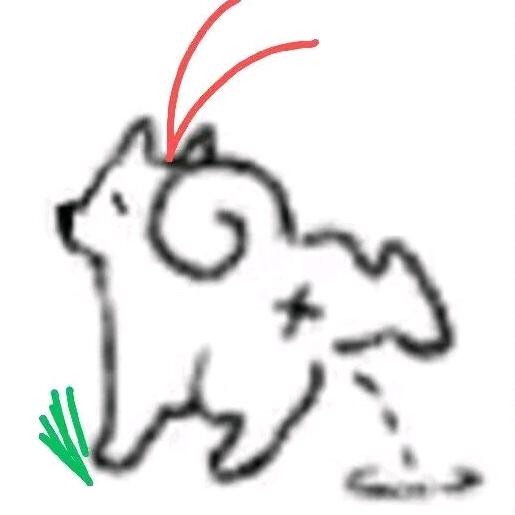 虞豆豆v.v