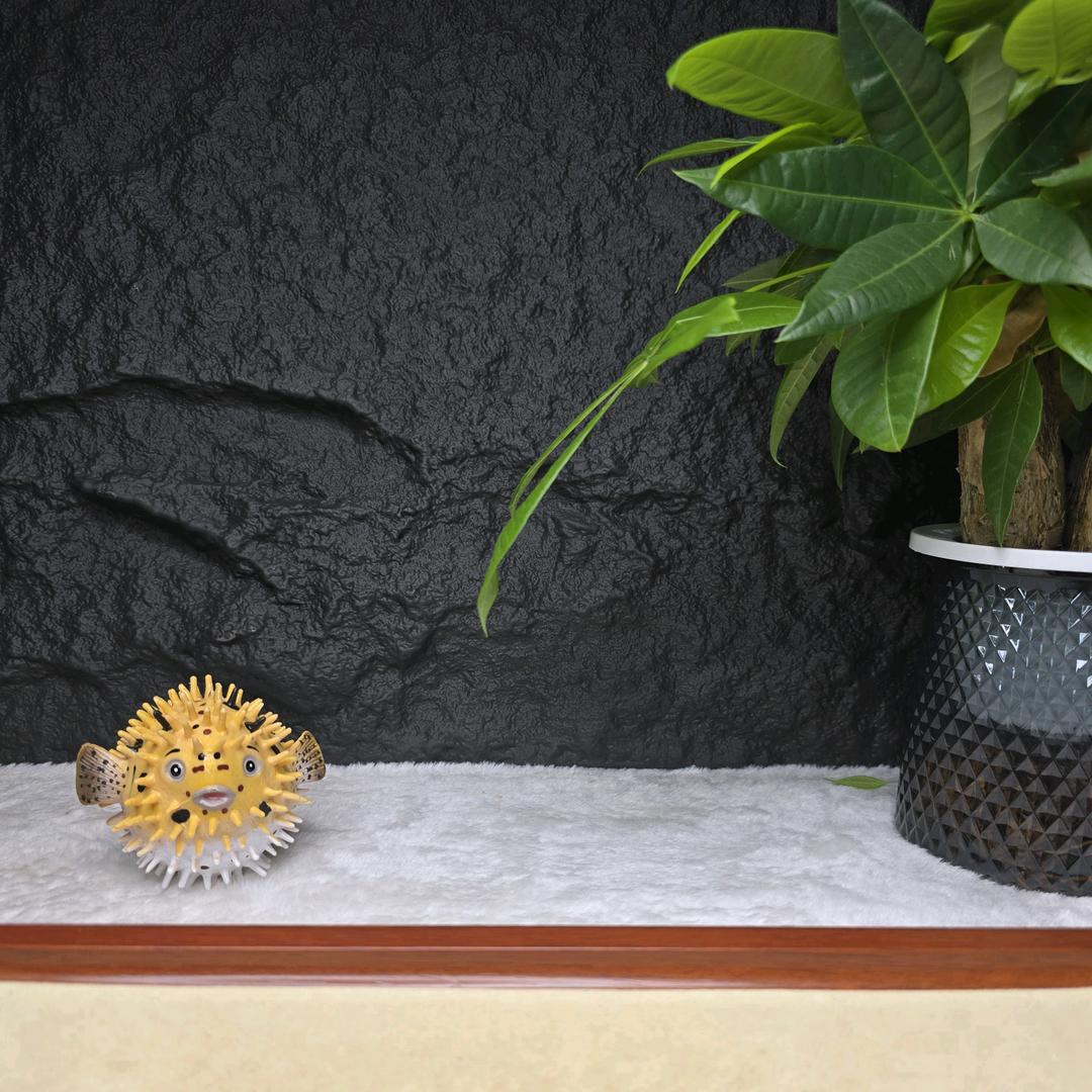 🌈CM莫莫文玩2号店（星月菩提）