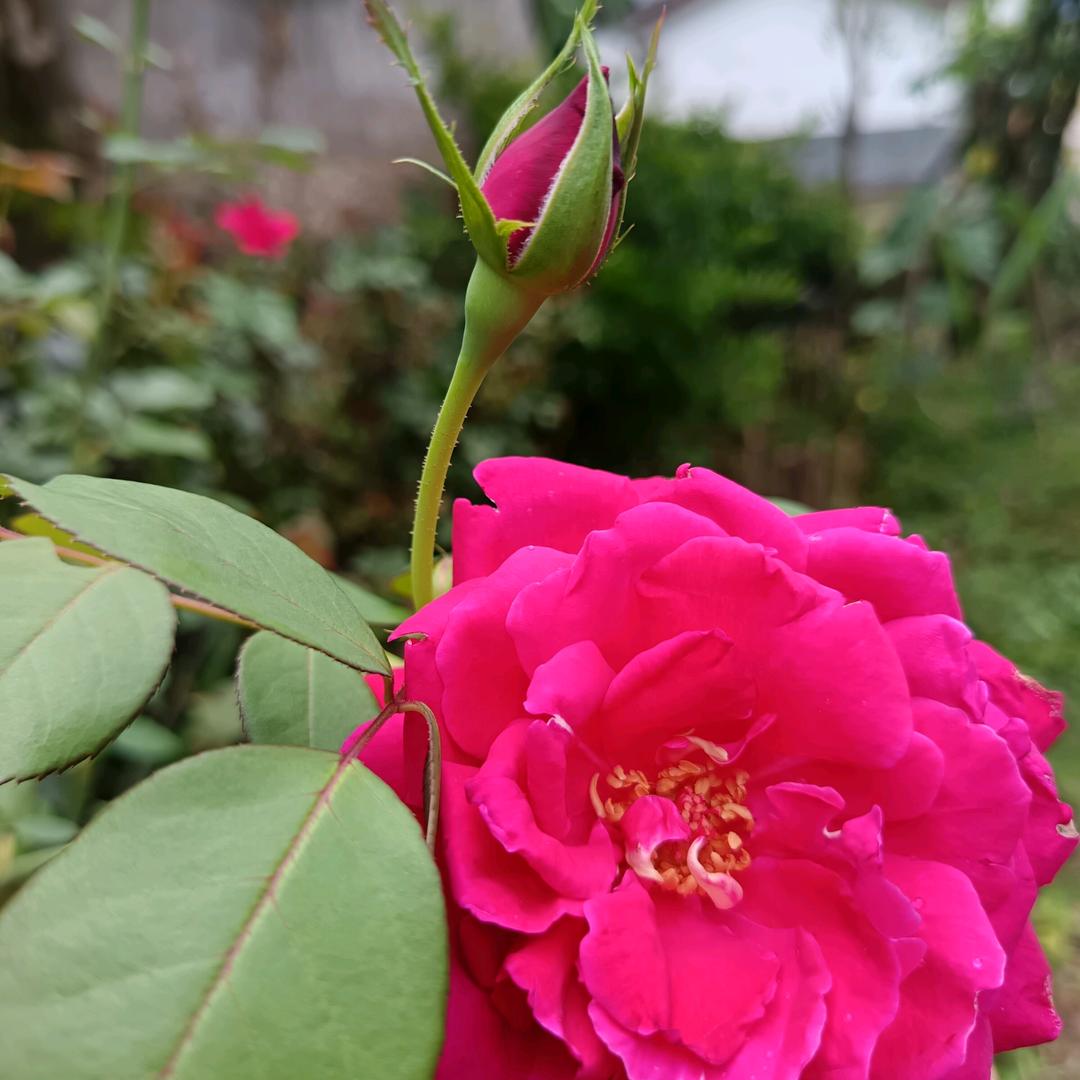 今❤️❤️生💞有💘你💗💗