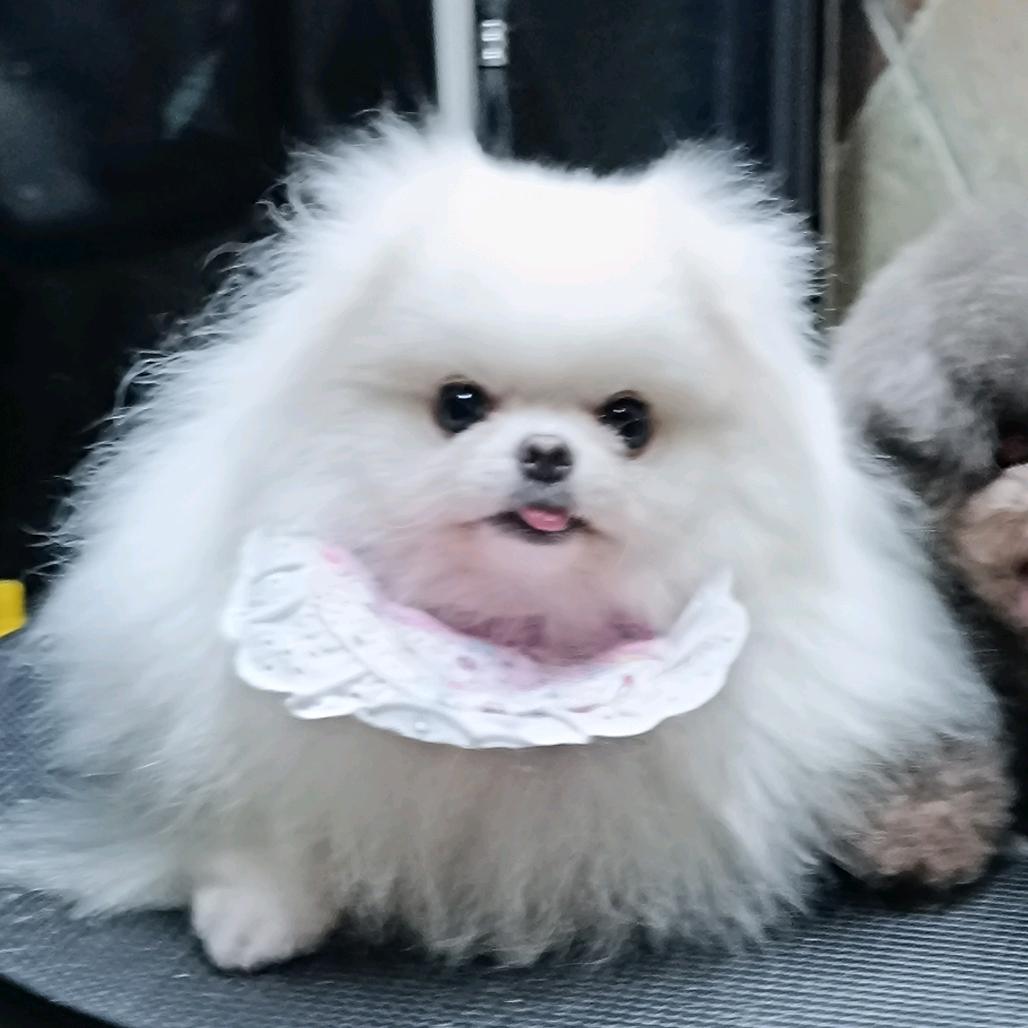 星河❤️（记得叫我别下单）