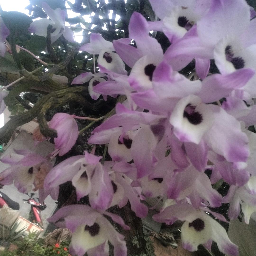相亲🌸相爱
