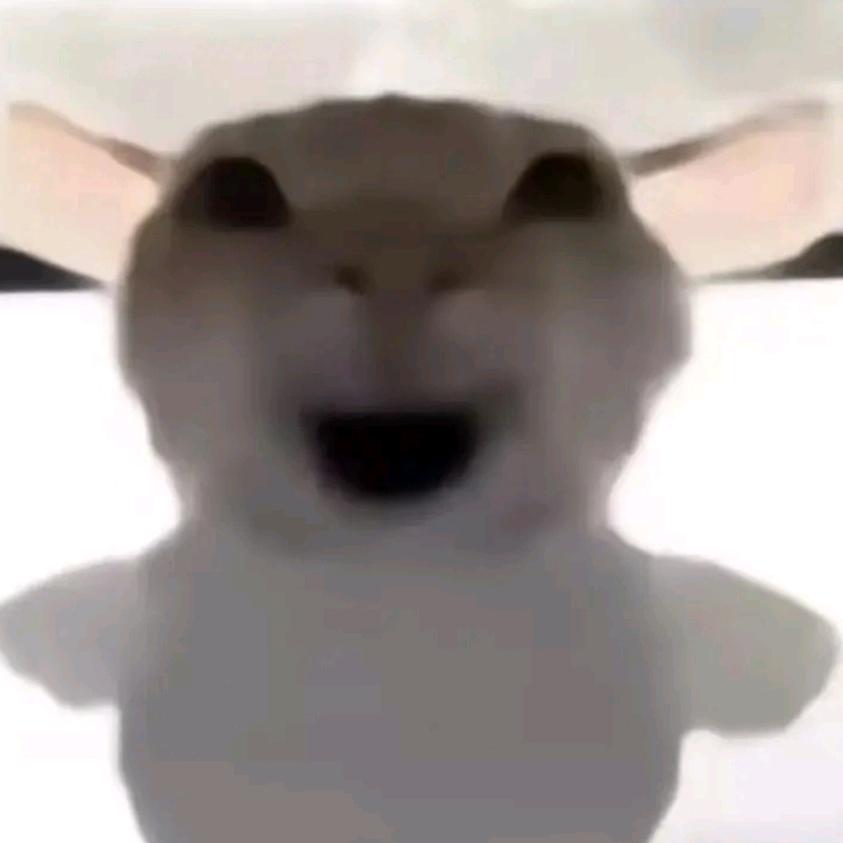 apilie