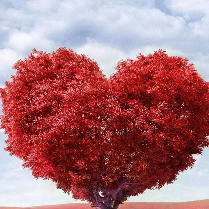 悲喜自渡，他人难悟！