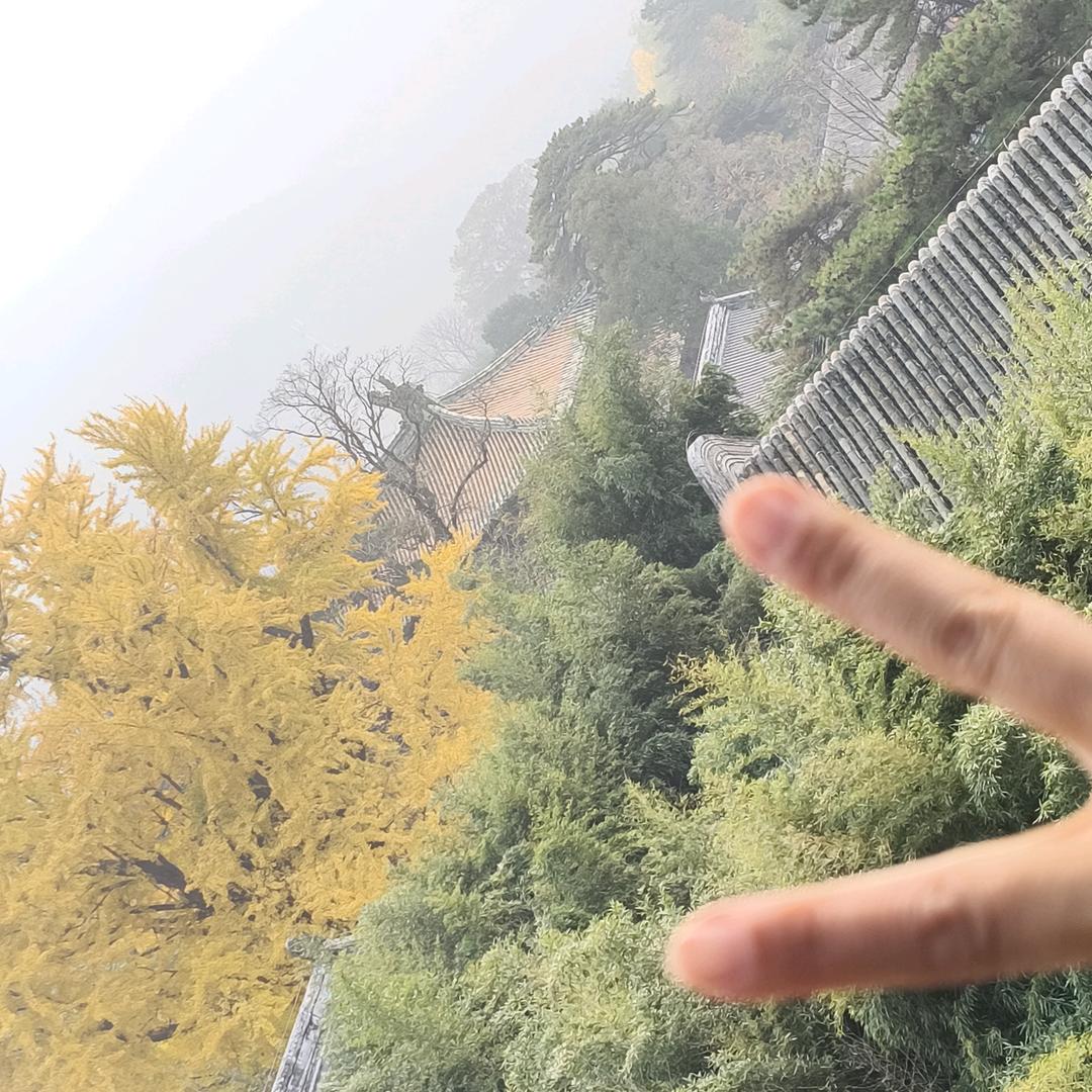 阿静