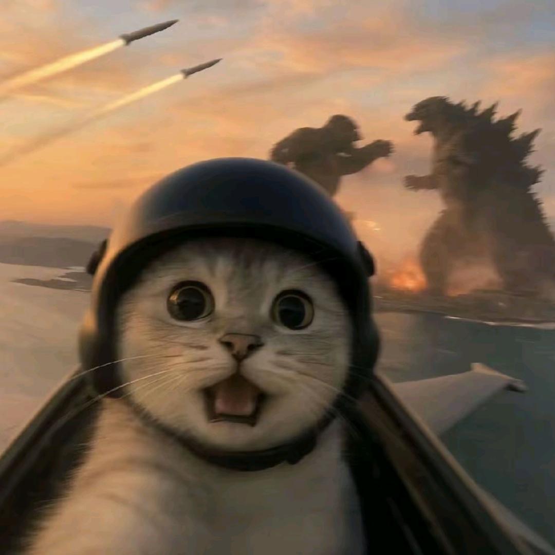 对方正在输入...