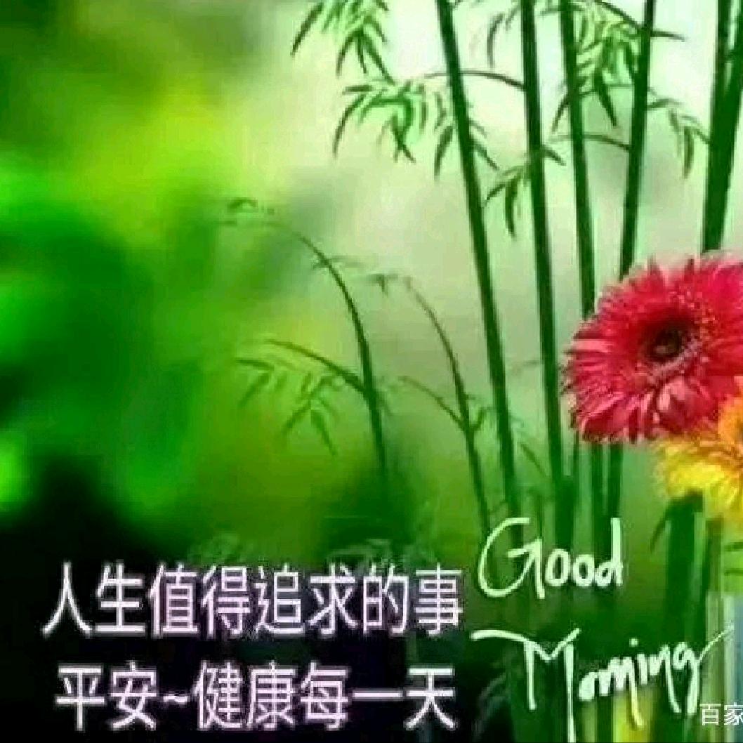 等你，养生雪儿