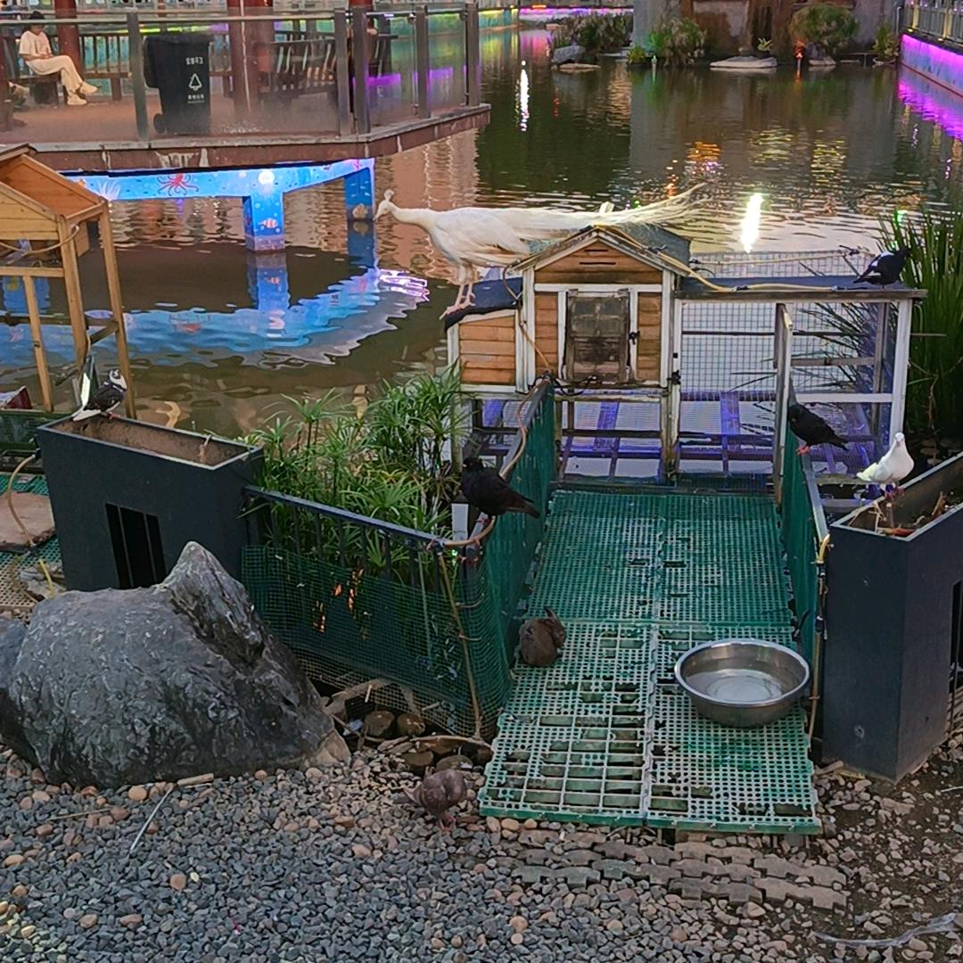 余生好好爱自己