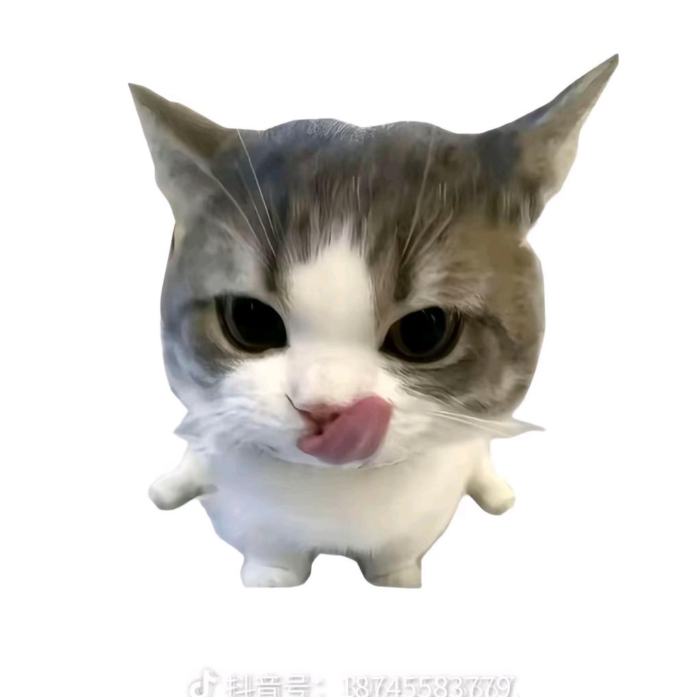 昭昭～