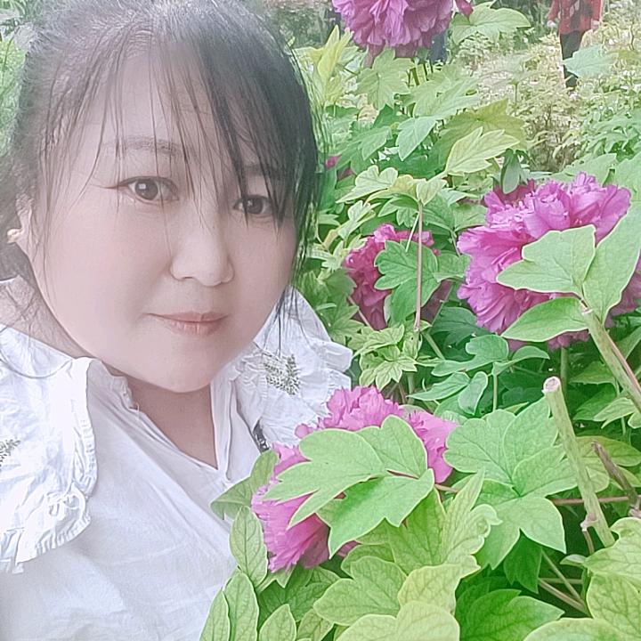 叶县四姐