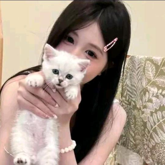 懒猫