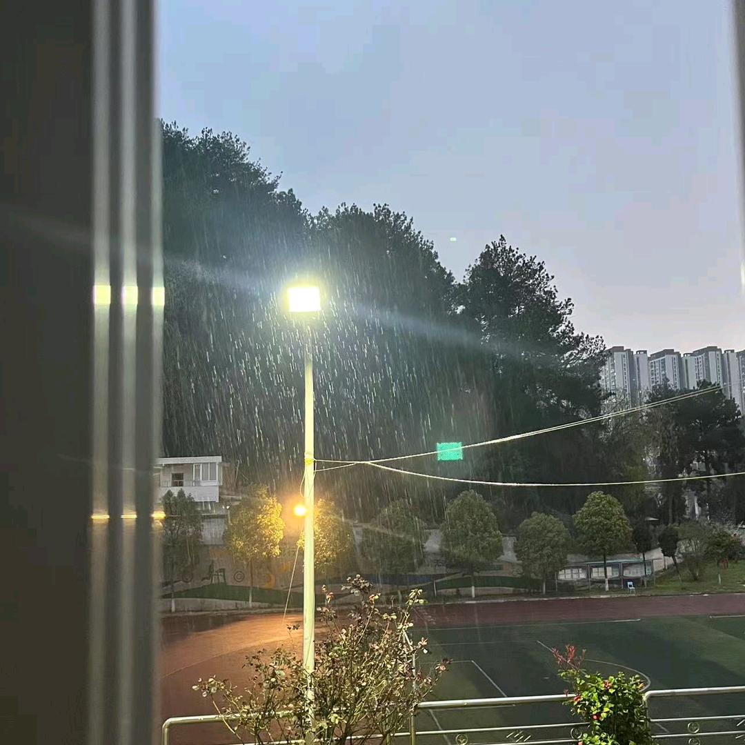 随风而去