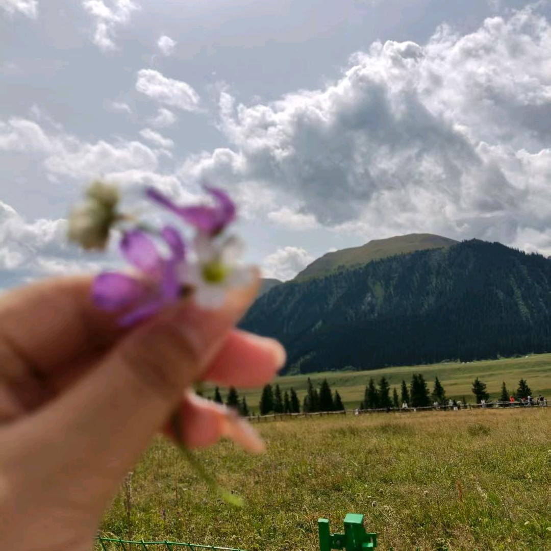 随风向自由～