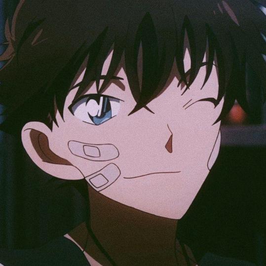 鹤归城南