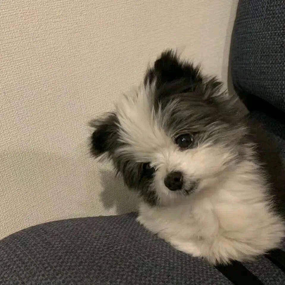 此心自如
