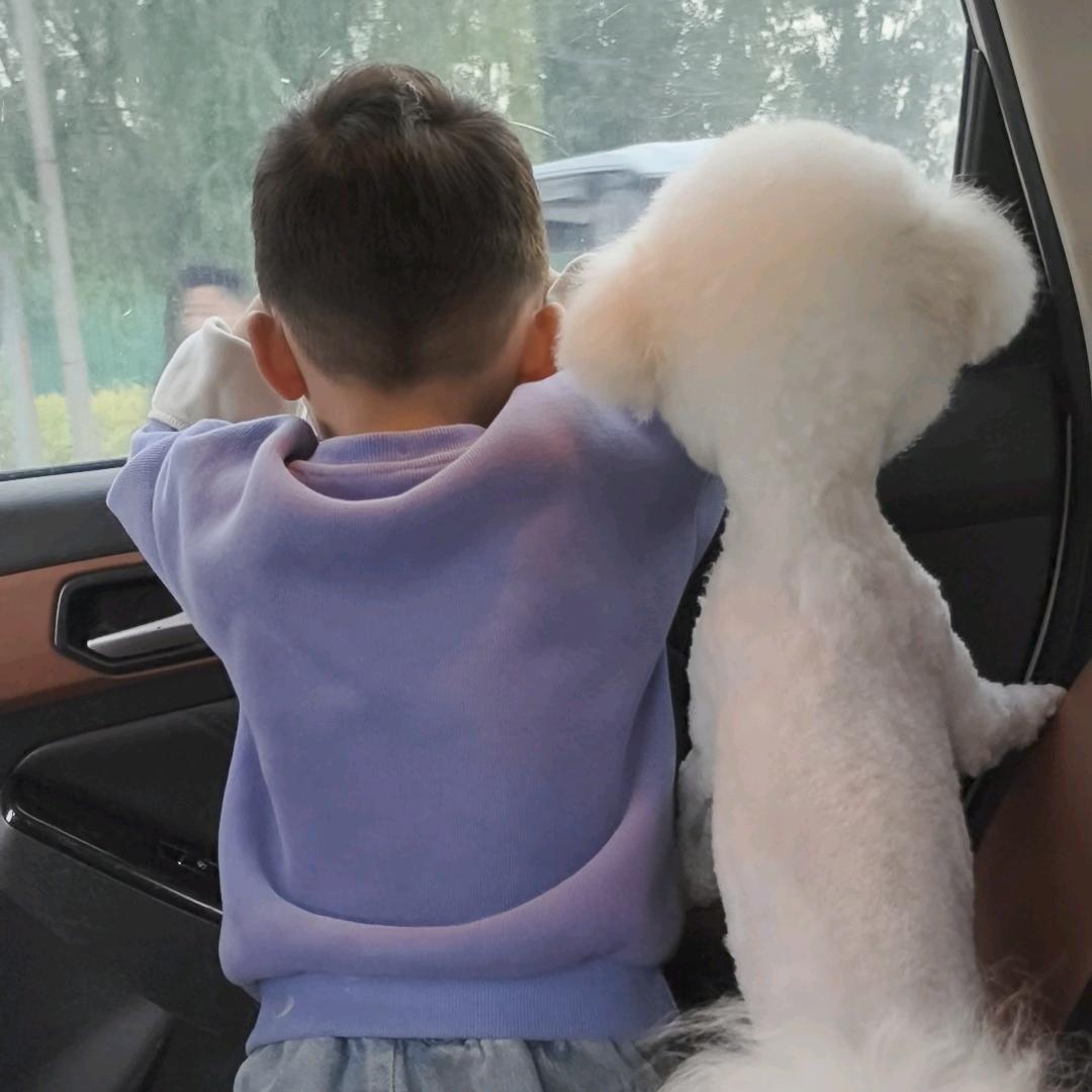 ʚʕ̯•͡˔•̯᷅ʔ