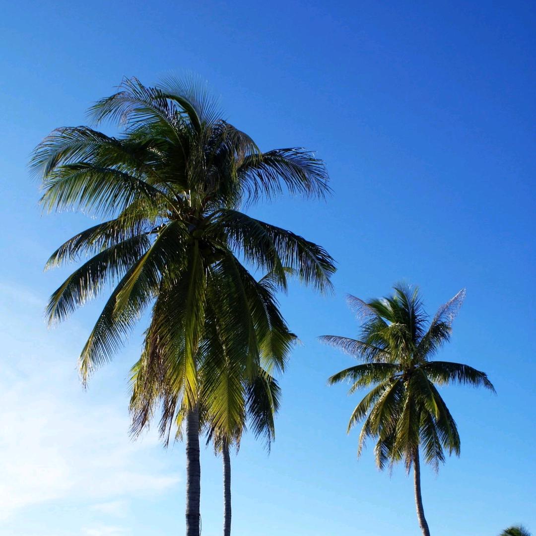 我不叫赵山河😎