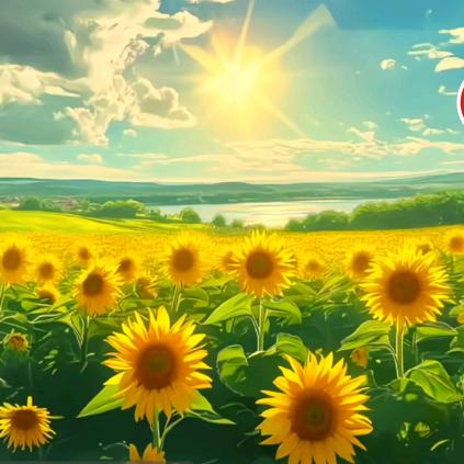 放下昨天，珍惜今天