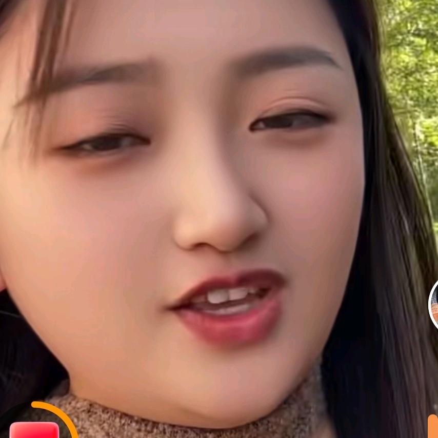 春花