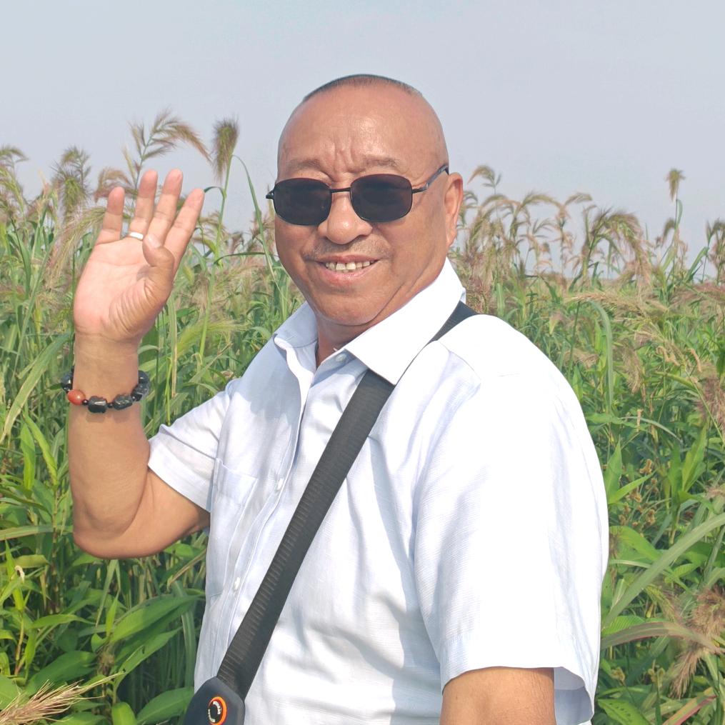 网络茂哥