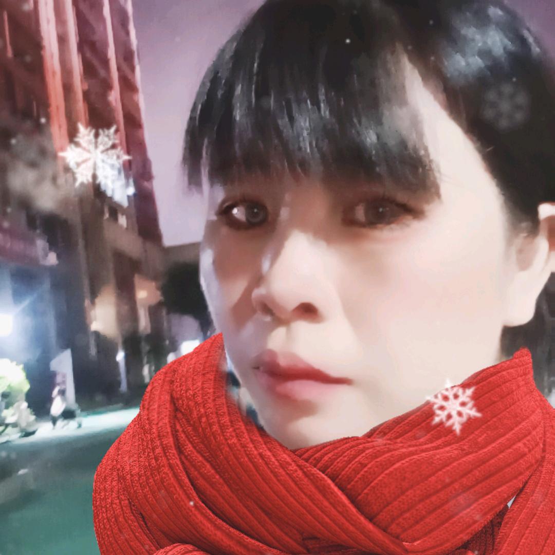 菊🈵仓