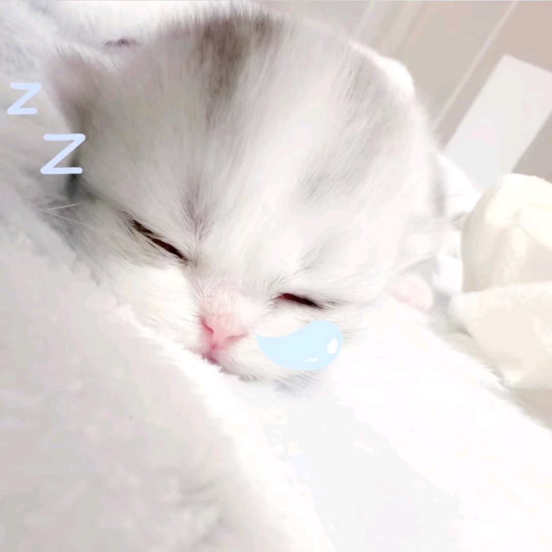 不知道