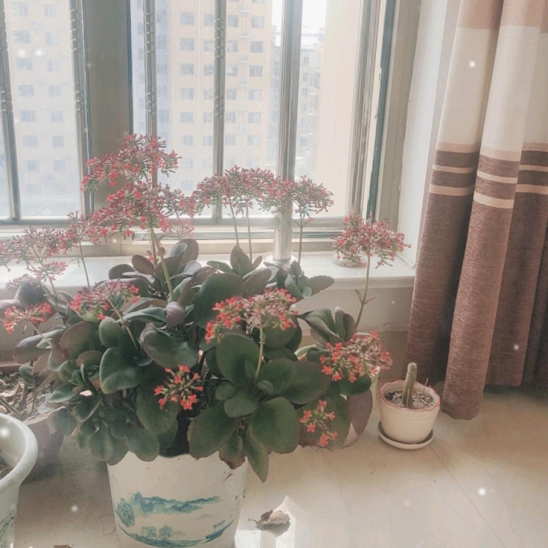 姐爱唱歌