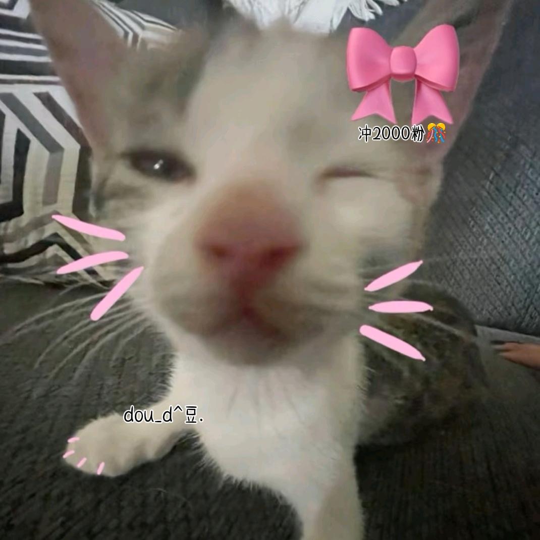 ^Txany.豆🐬