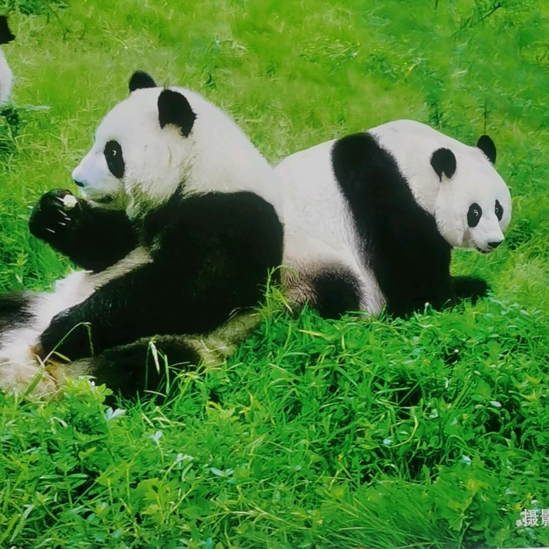 周秀