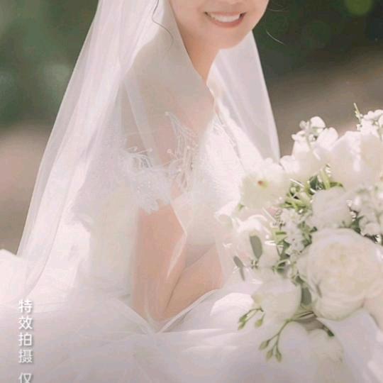雾里看花