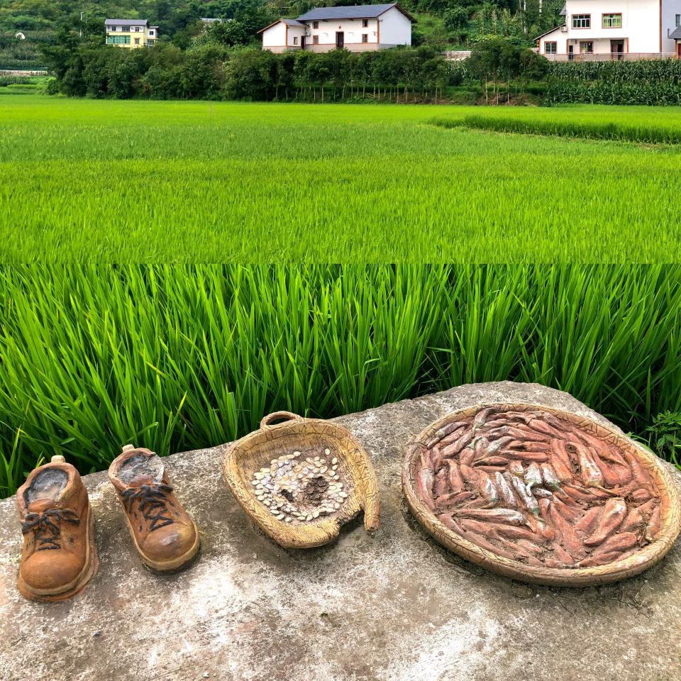 枫枫爱羊毛