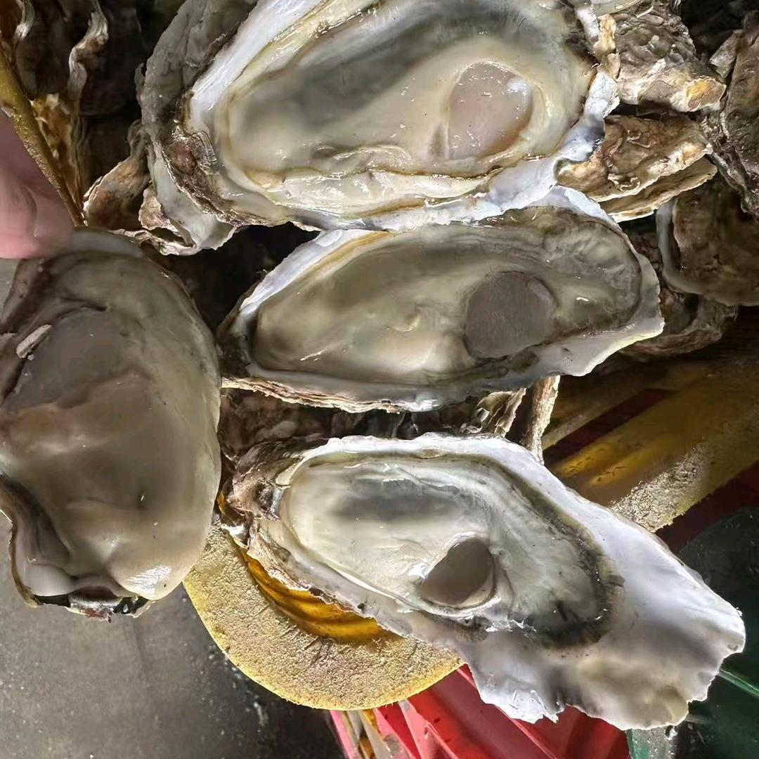 大鹏哥