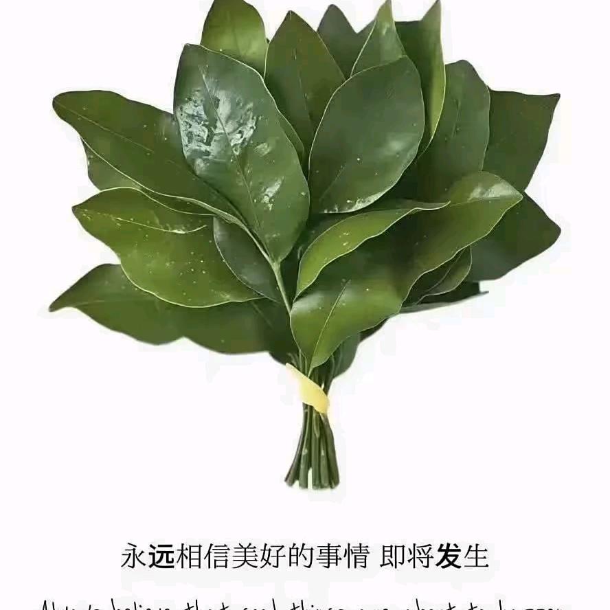 💵麦收涂涂料料💵