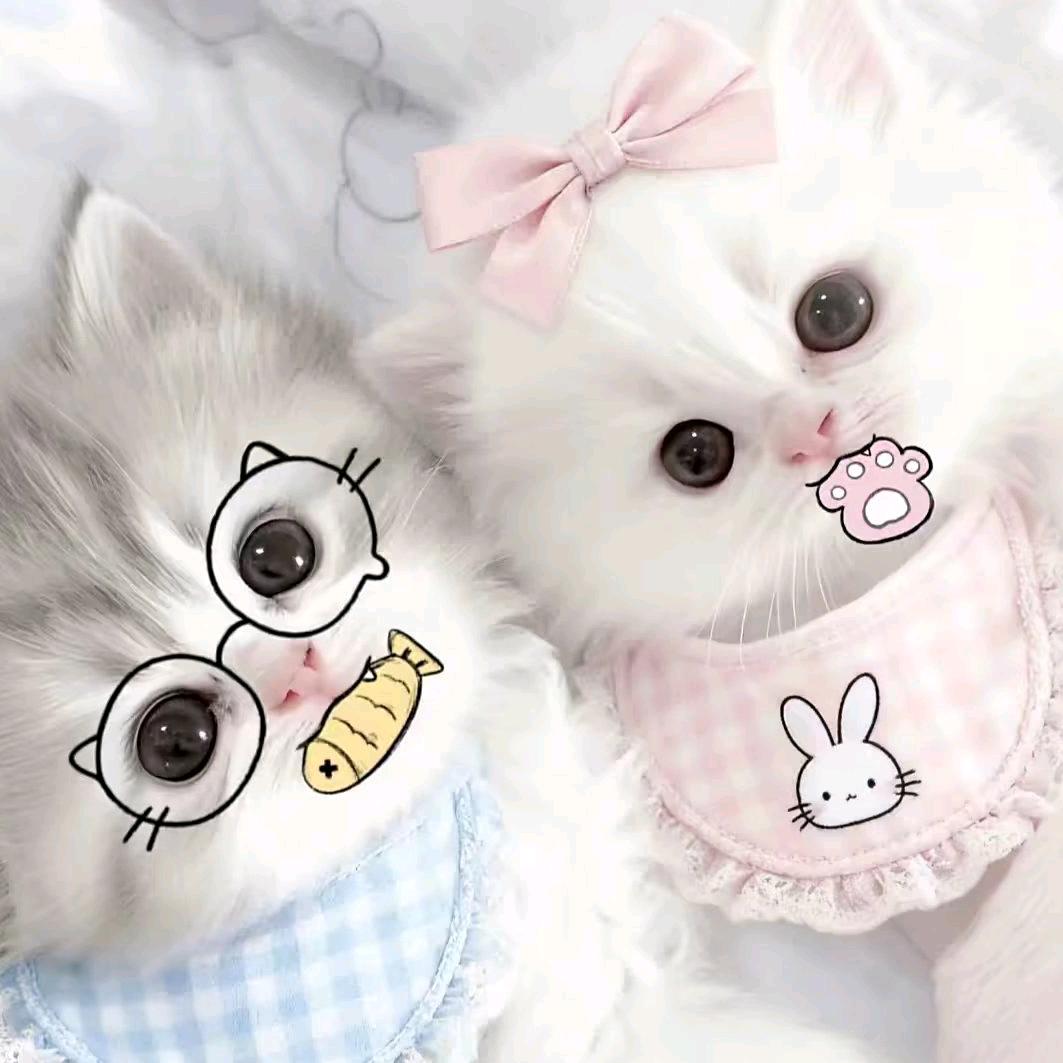 妈妈