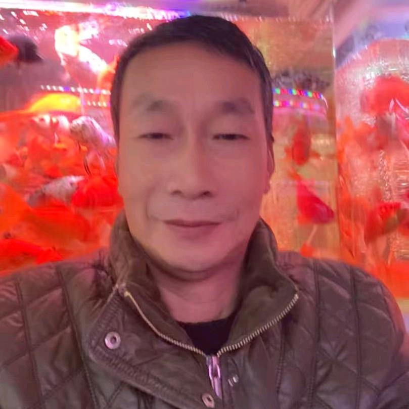 老张：:光山金鱼二十年