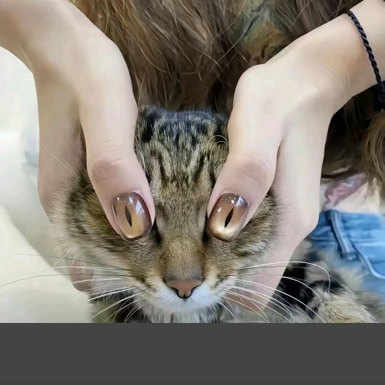 轨迹