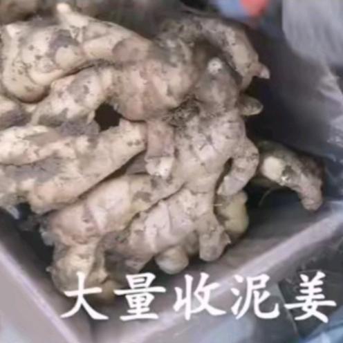 ᭄ꦿ王向华꧔ꦿ代办🍀