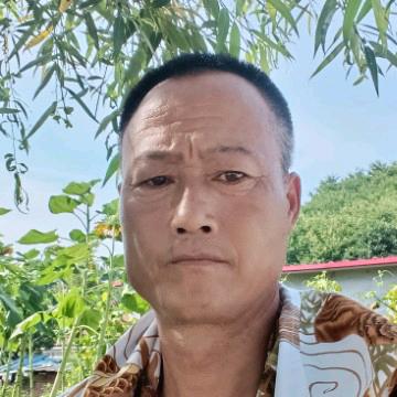 自由飞翔