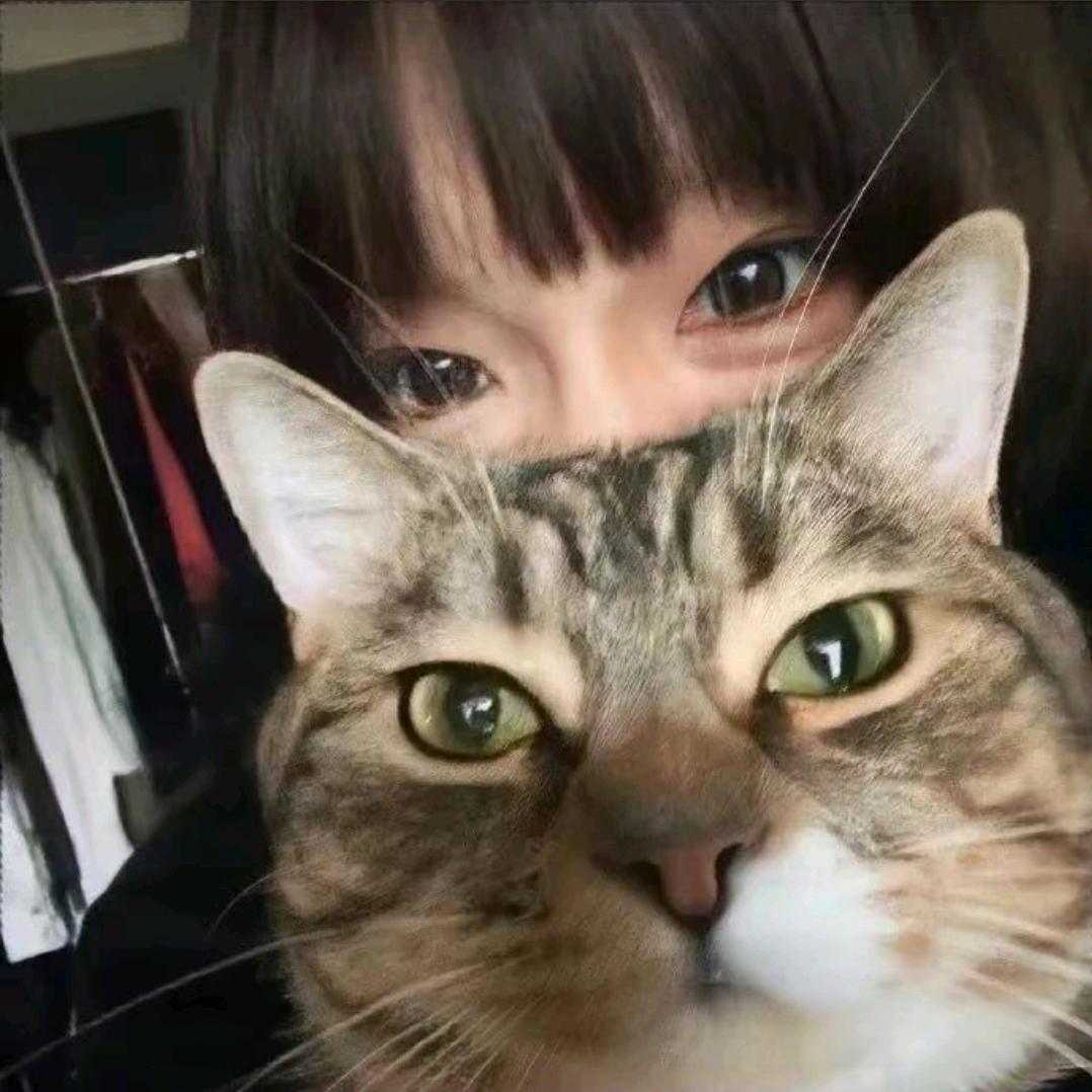 狮狮🍣